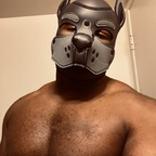 cyrustheebear avatar